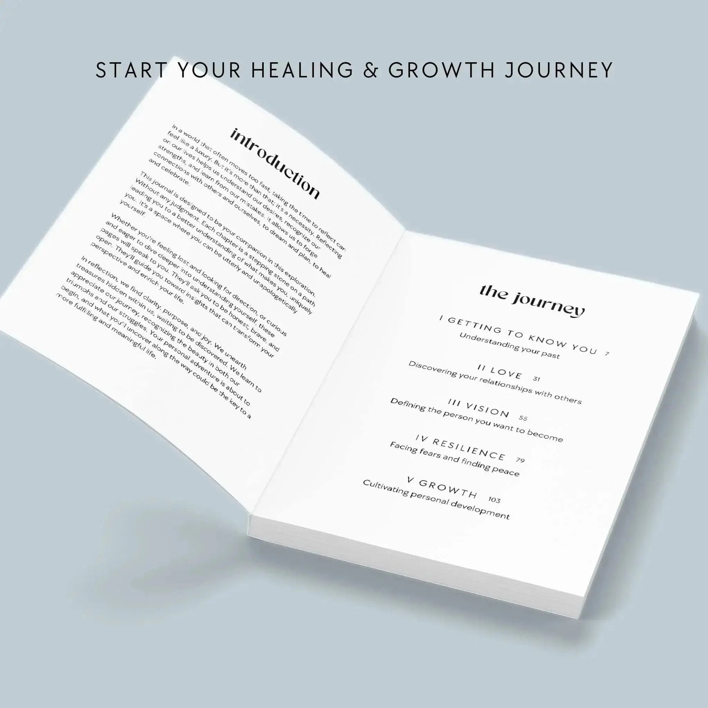 The Growth Guided Journal Softcover Pulse of Potential