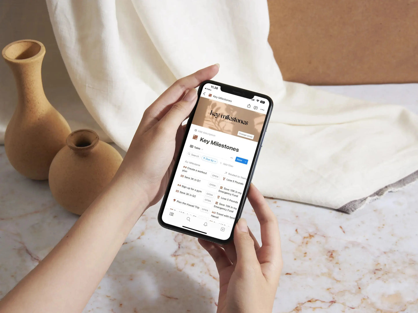 Free Gift: 2025 Goals Planner ($24) Pulse of Potential