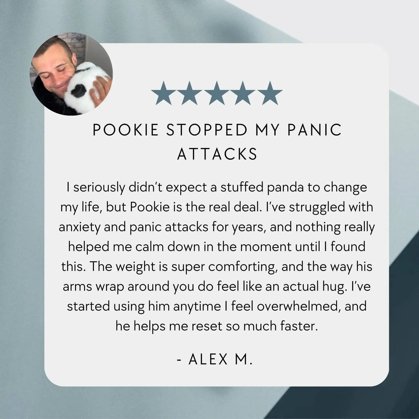 Pookie the Panda Weighted Animal Pulse of Potential
