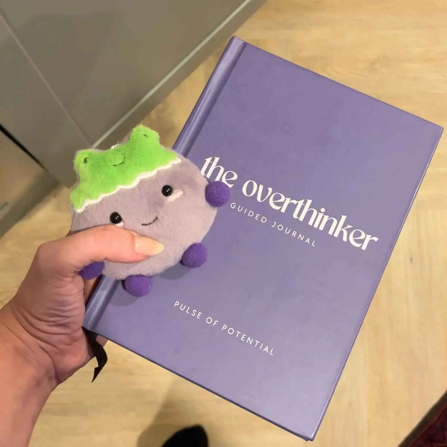 The Overthinking Guided Journal