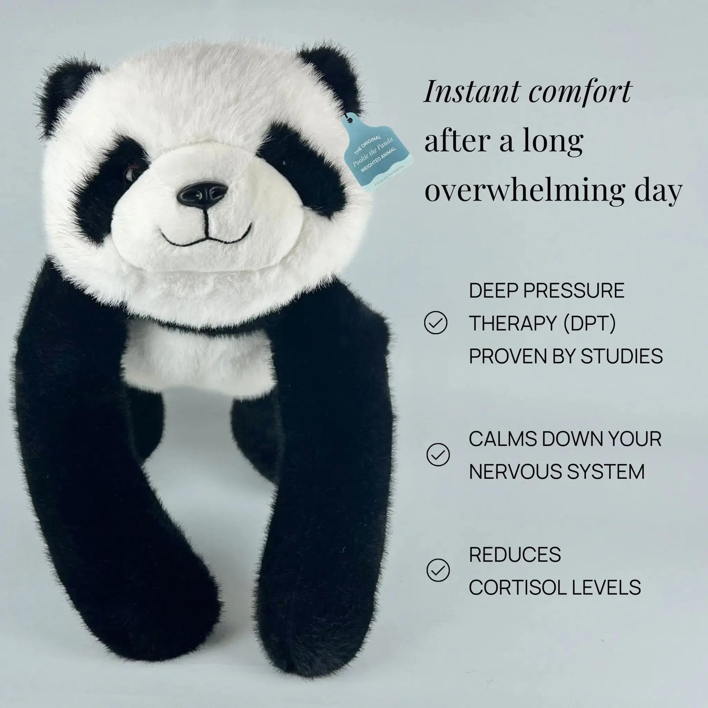Pookie the Panda Weighted Animal Pulse of Potential