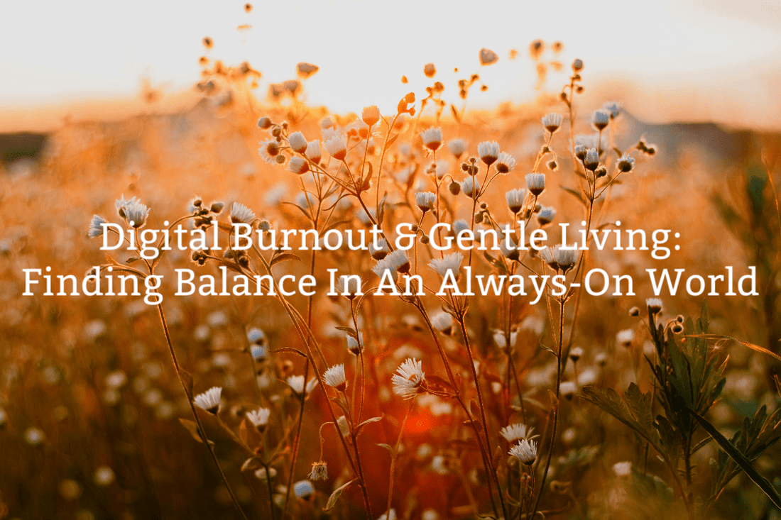 Digital Burnout title over image of field 