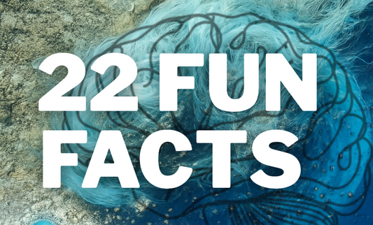 22 fun facts