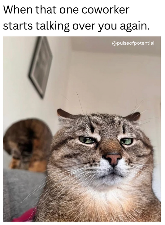 15 Relatable Work Memes to Relieve Stress & Brighten Your Day