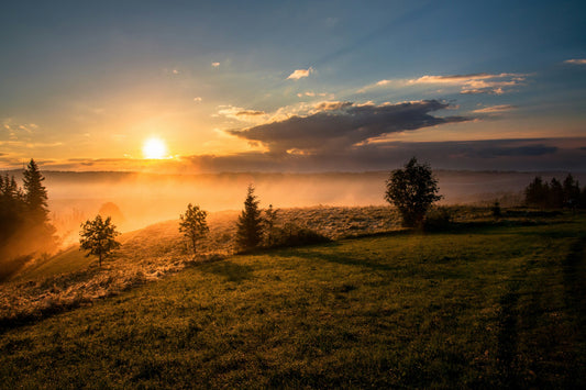 Sunrise over a green field 
