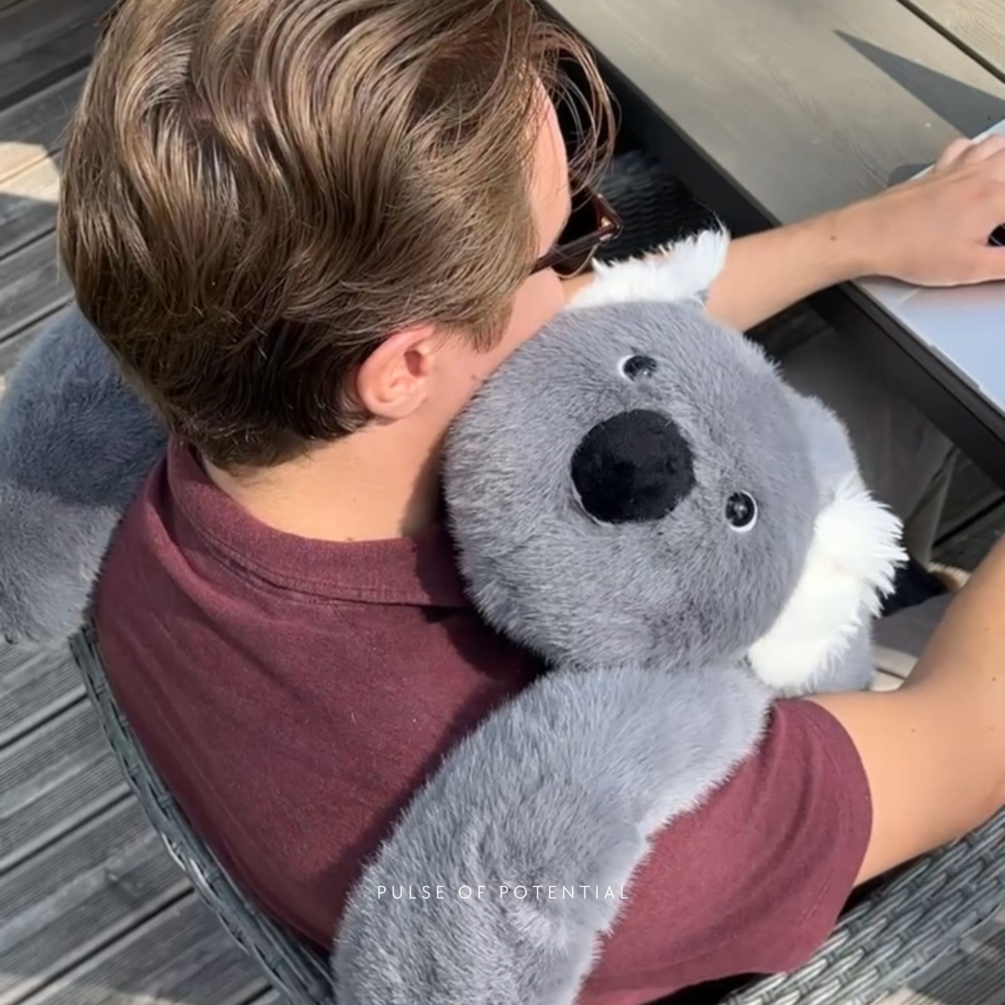 Koko the Koala Weighted Animal – Pulse of Potential