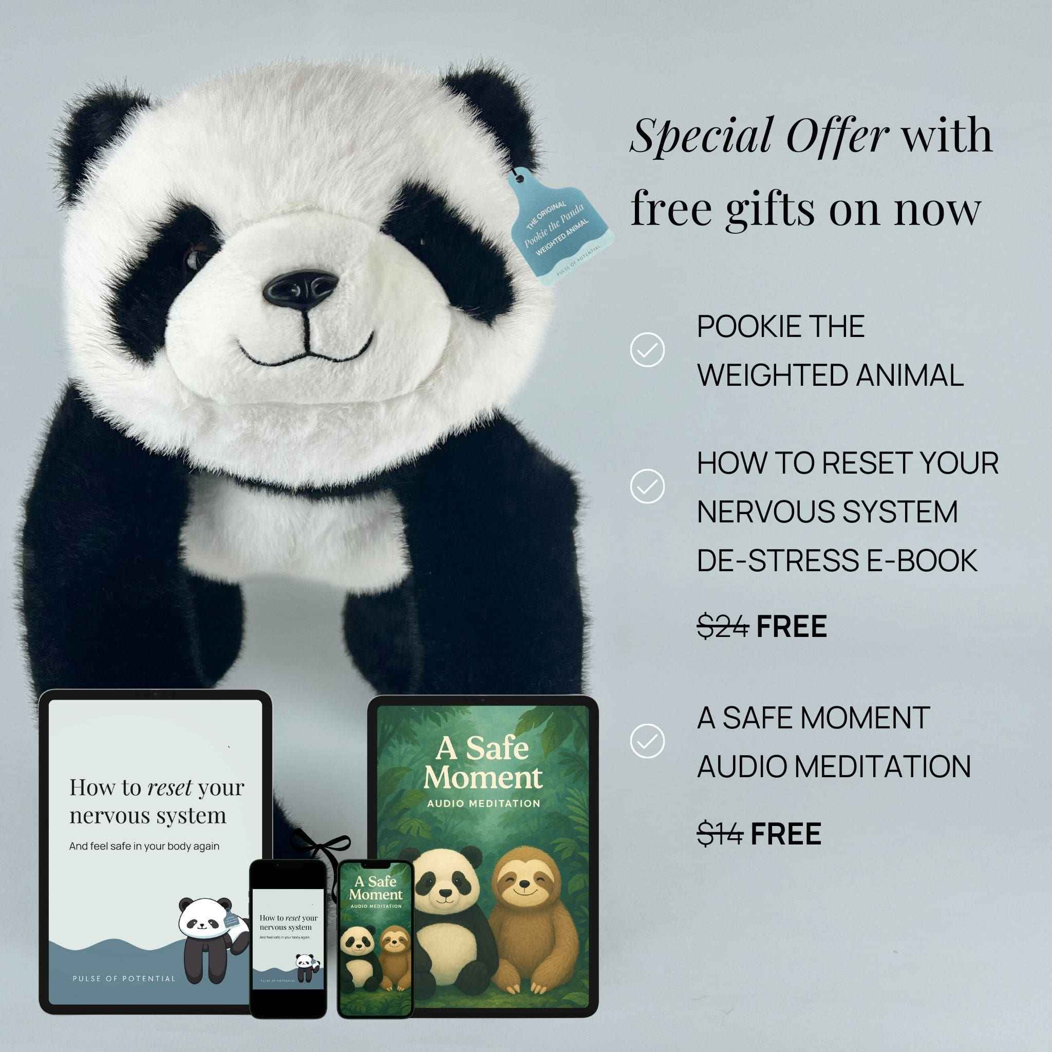 Pookie the Panda Weighted Animal – Pulse of Potential