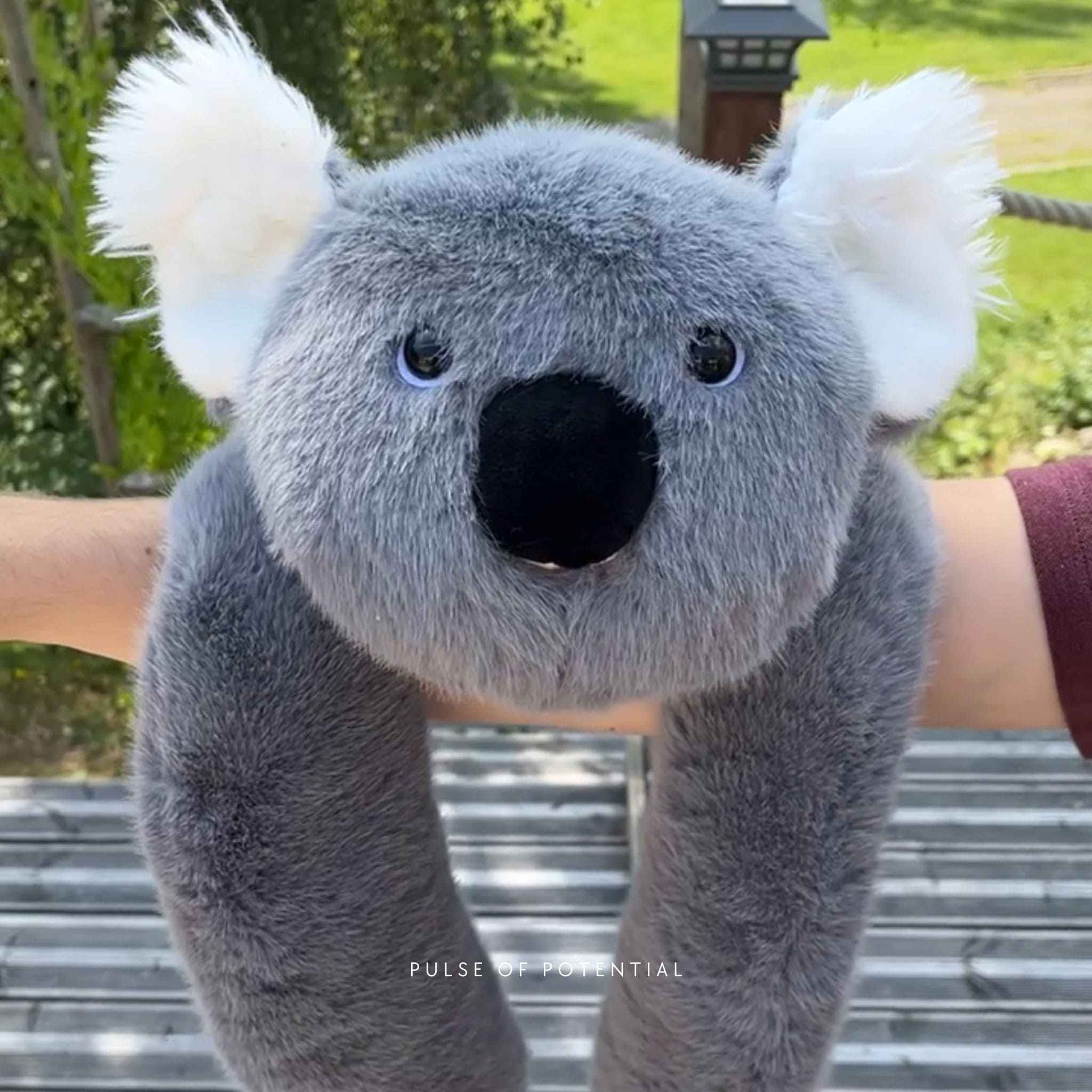 Koko the Koala Weighted Animal – Pulse of Potential