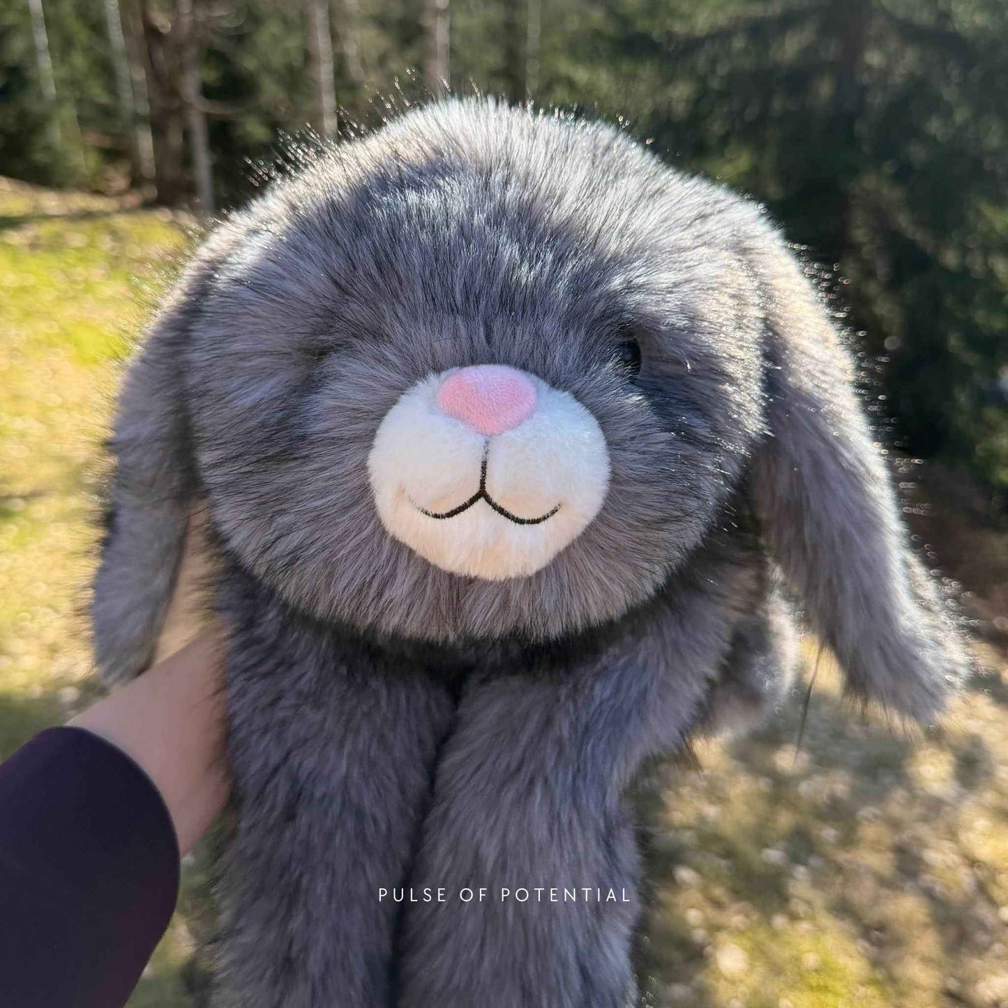 Barley the Bunny Weighted Animal