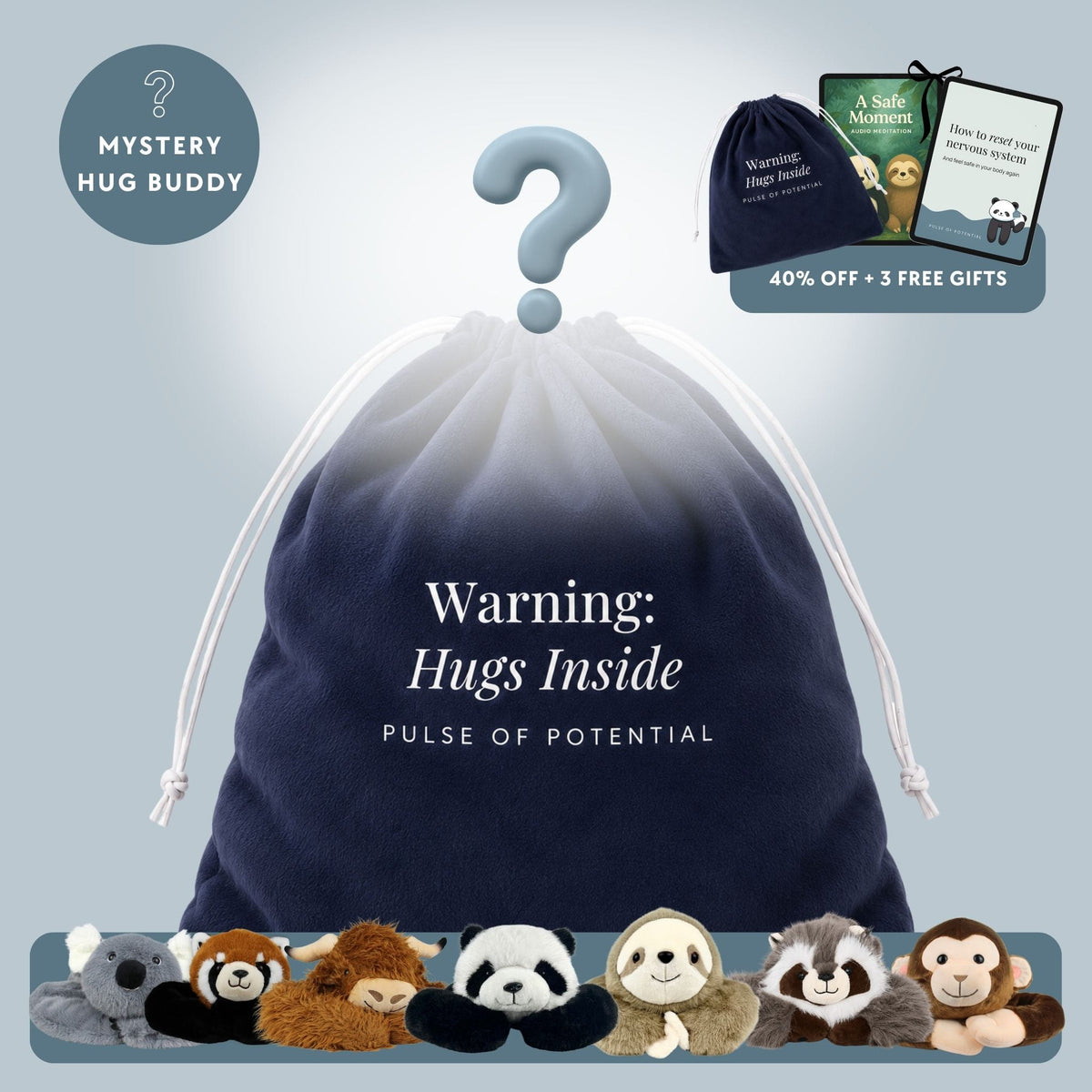 Mystery Weighted Hug Buddy