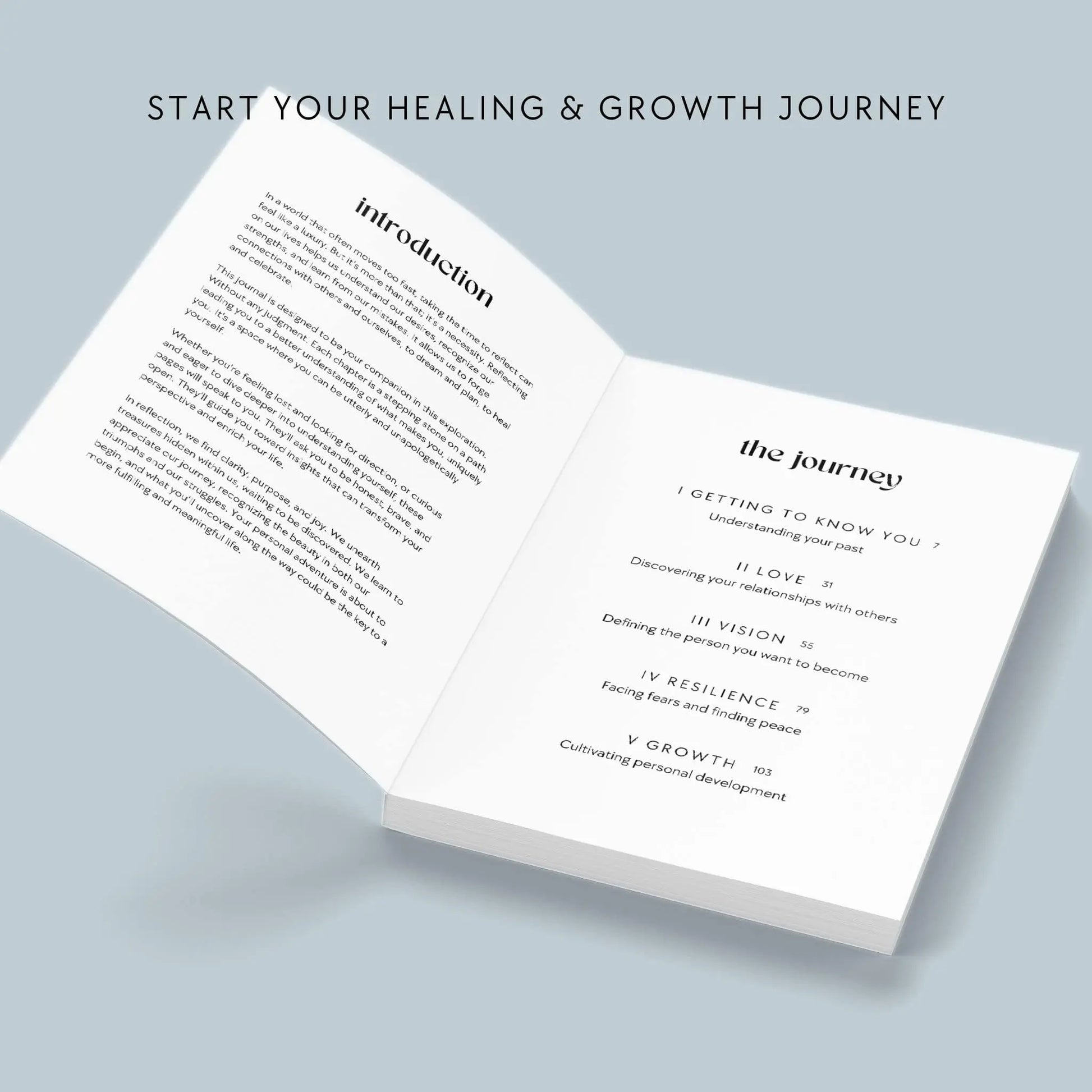 The Growth Guided Journal Softcover Pulse of Potential