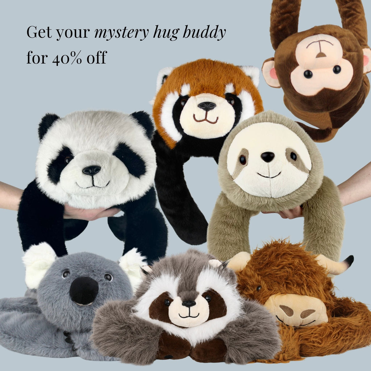 Mystery Weighted Hug Buddy