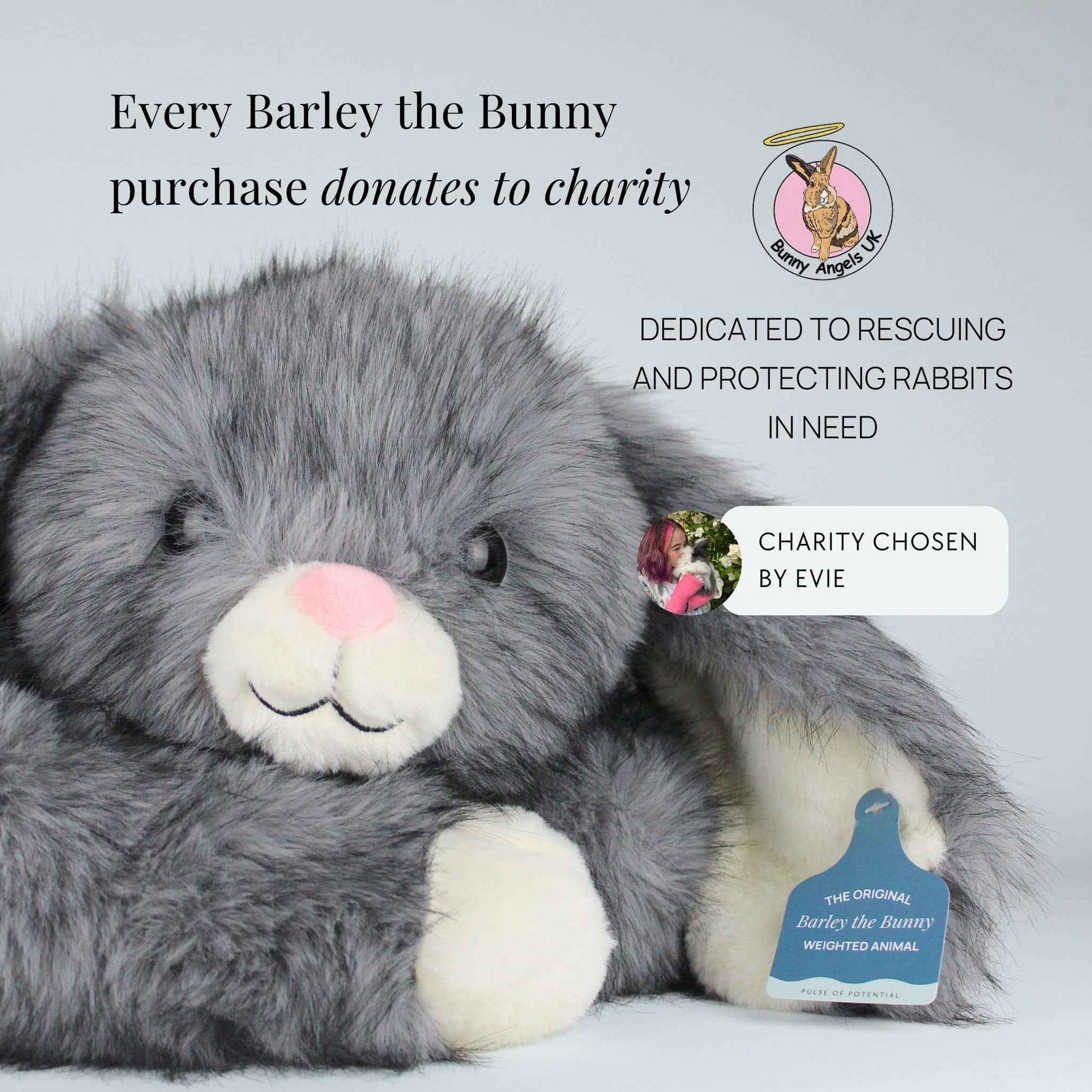 Barley the Bunny Weighted Animal