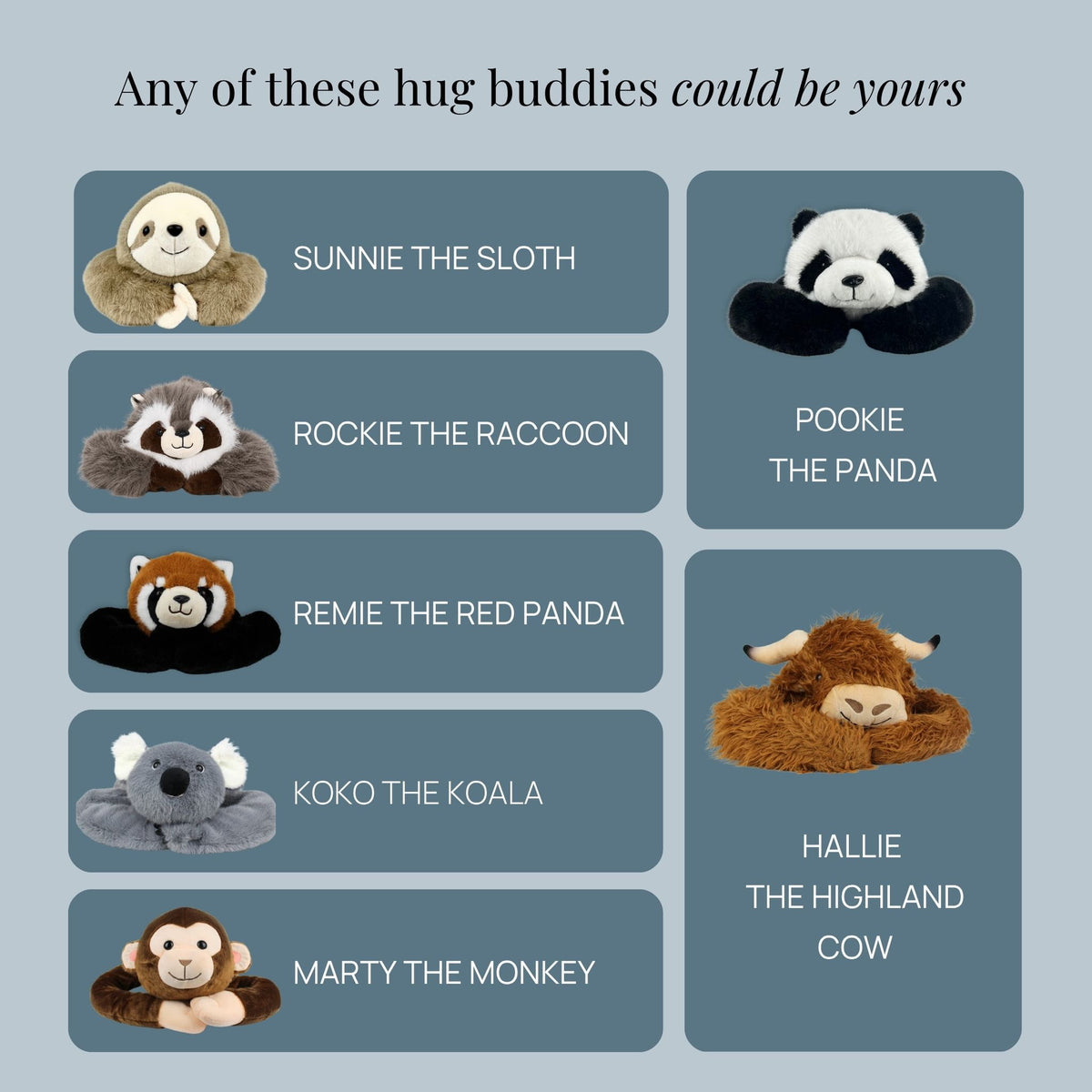 Mystery Weighted Hug Buddy