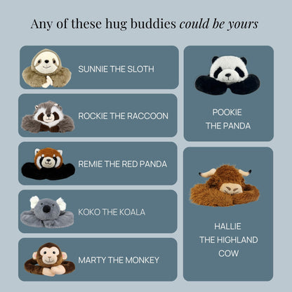 Mystery Weighted Hug Buddy