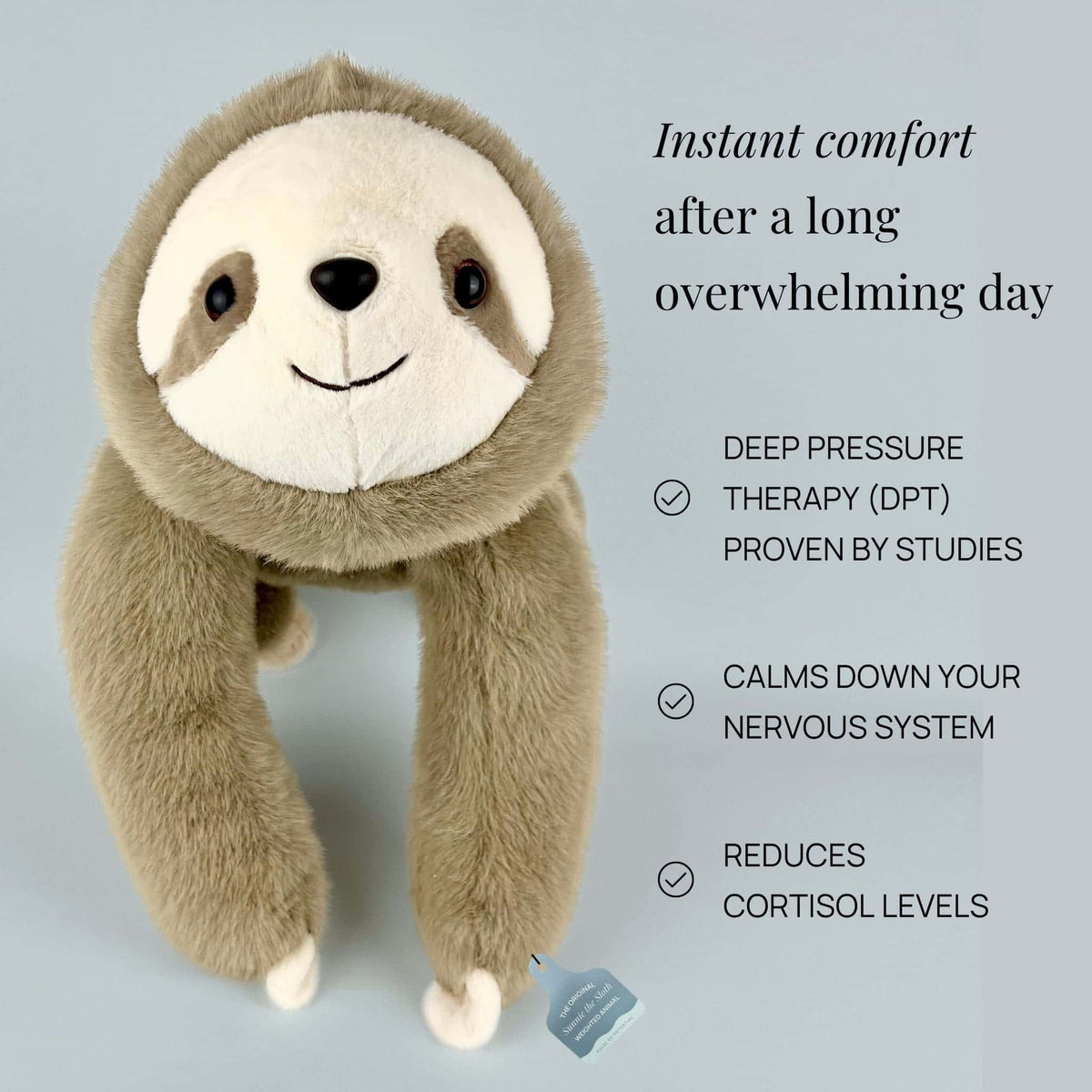 Mystery Weighted Hug Buddy