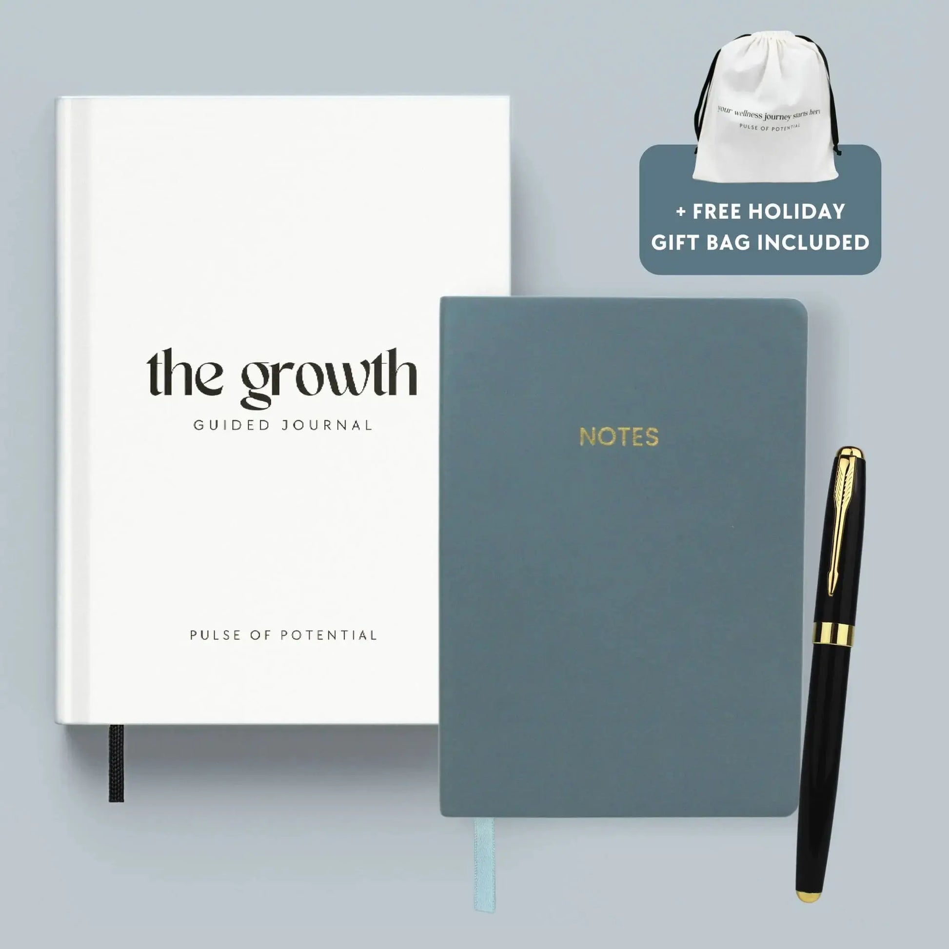The Minimalistic Journaling Gift Set – Pulse of Potential