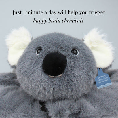 Koko the Koala Weighted Animal
