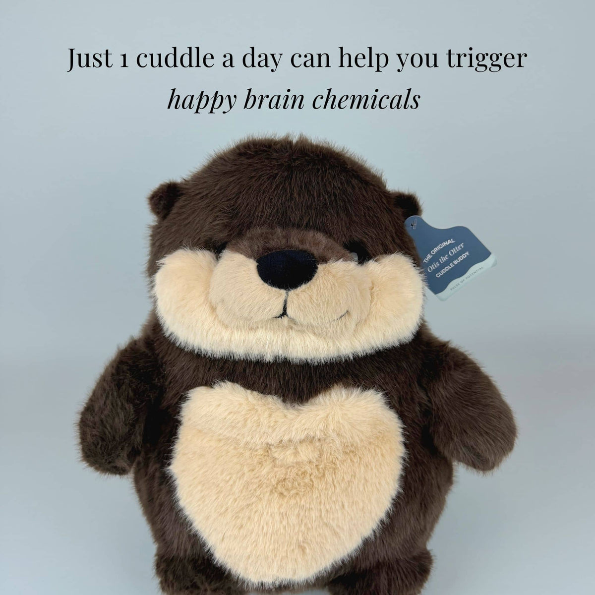 Otis the Otter Weighted Cuddle Buddy