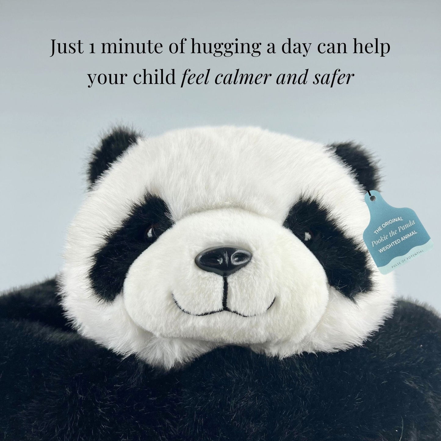Pookie the Panda Weighted Hug Buddy for Children