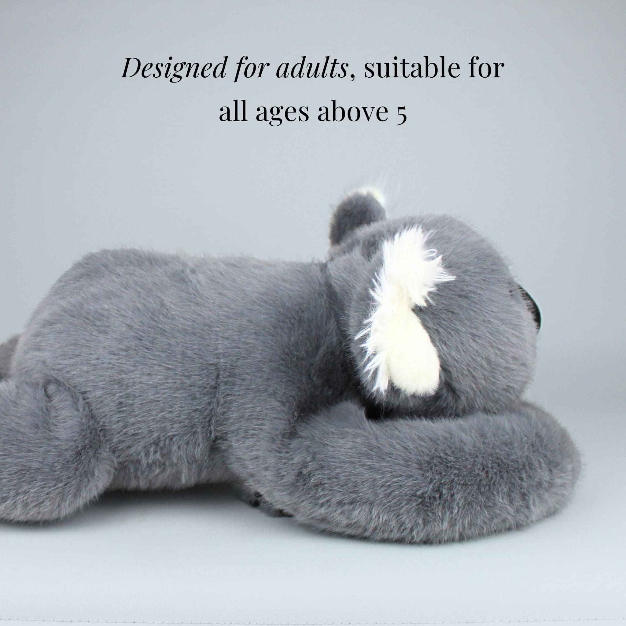Lost 'n Founds/ロストアンドファウンド・ぬいぐるみ・わんぱくコアラ Koko the Koala Weighted Animal – Pulse of Potential