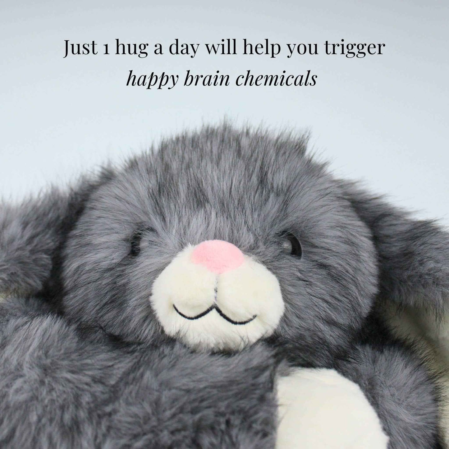 Barley the Bunny Weighted Animal