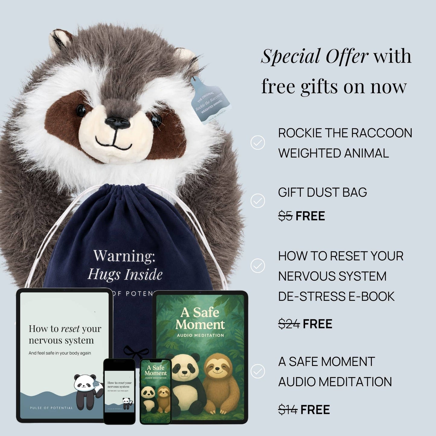Rockie the Raccoon Weighted Animal