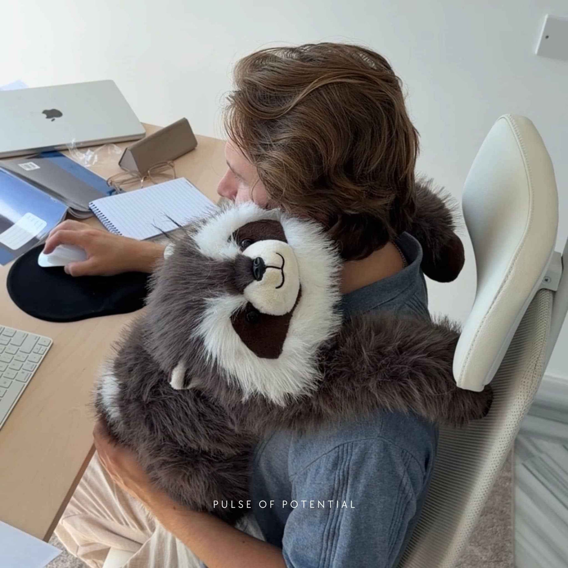 Rockie the Raccoon Weighted Animal