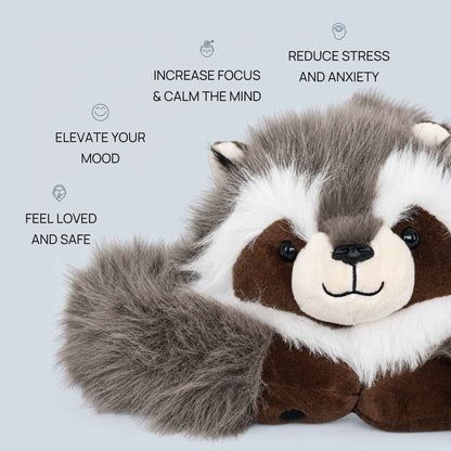 Rockie the Raccoon Weighted Animal