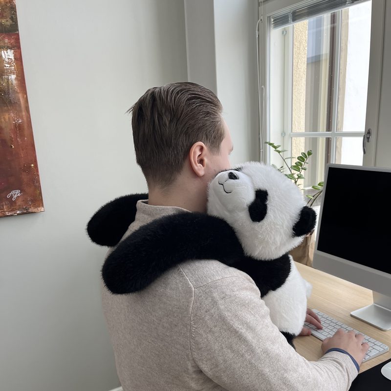 A man works at his desk with Pookie the Panda draped over his shoulders